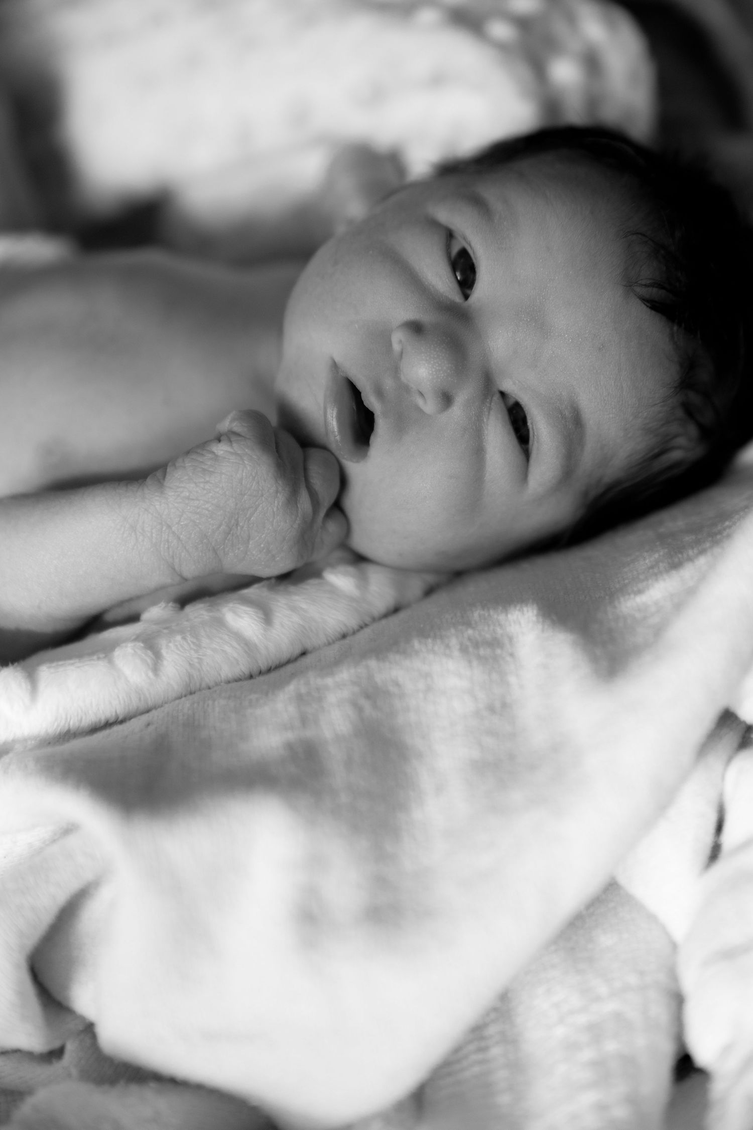 A sweet newborn baby rests peacefully on soft white bedding in black and white portrait.