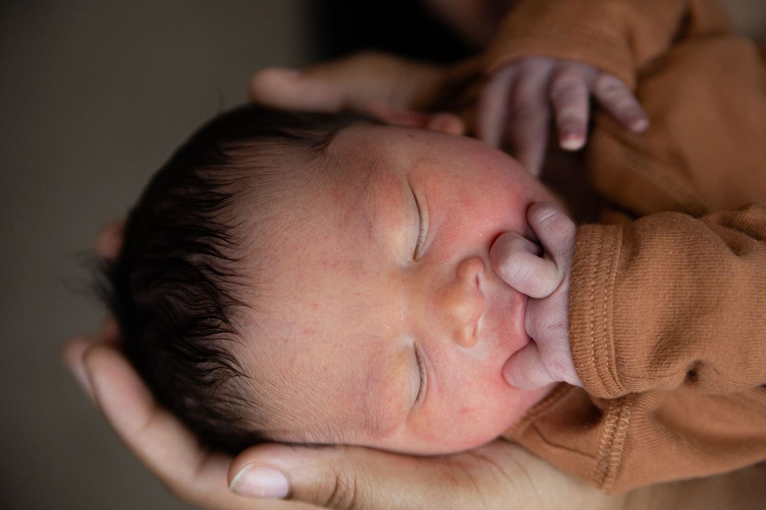 Peaceful sleeping newborn baby in brown swaddle wrap with soft hands gently cradling their head.