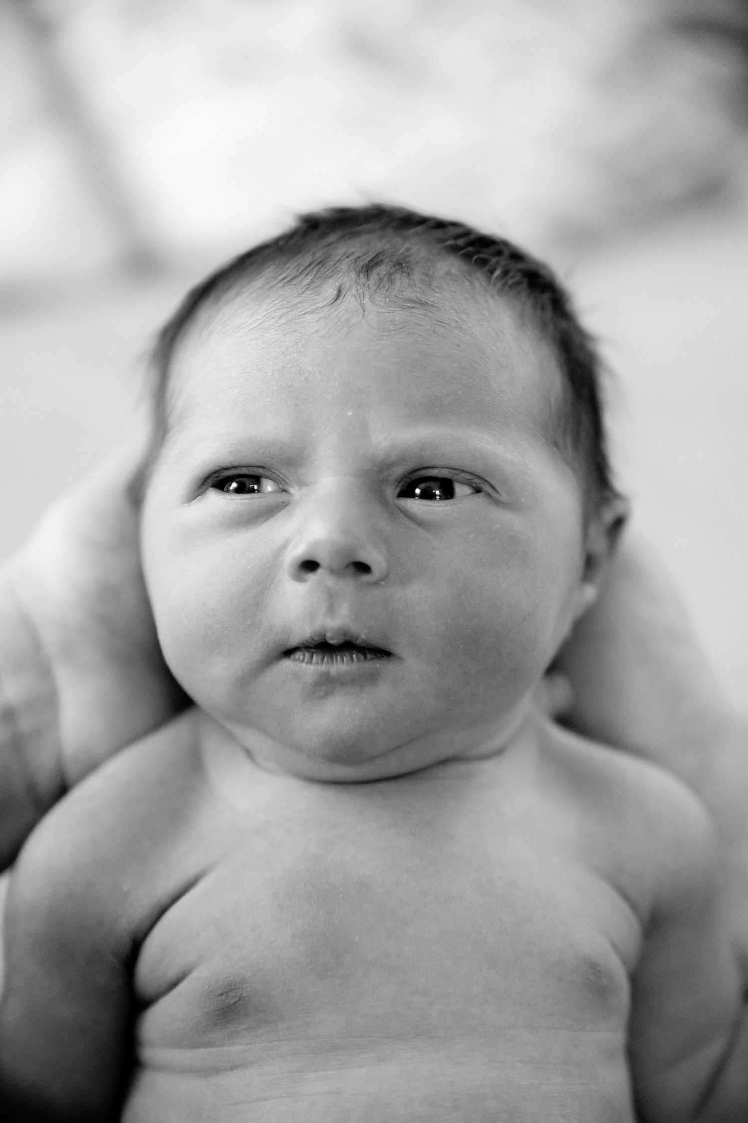 Black and white close-up photos of a peaceful sleeping newborn infant shown across multiple frames.