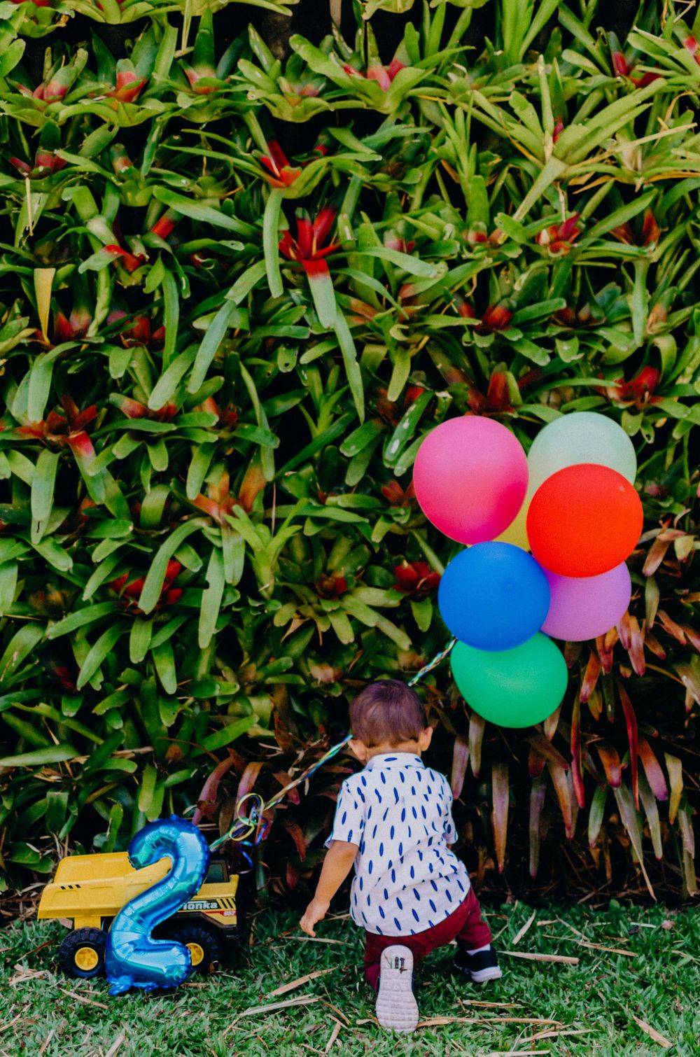 A toddler in a patterned shirt exploring near colorful balloons and tropical plants.