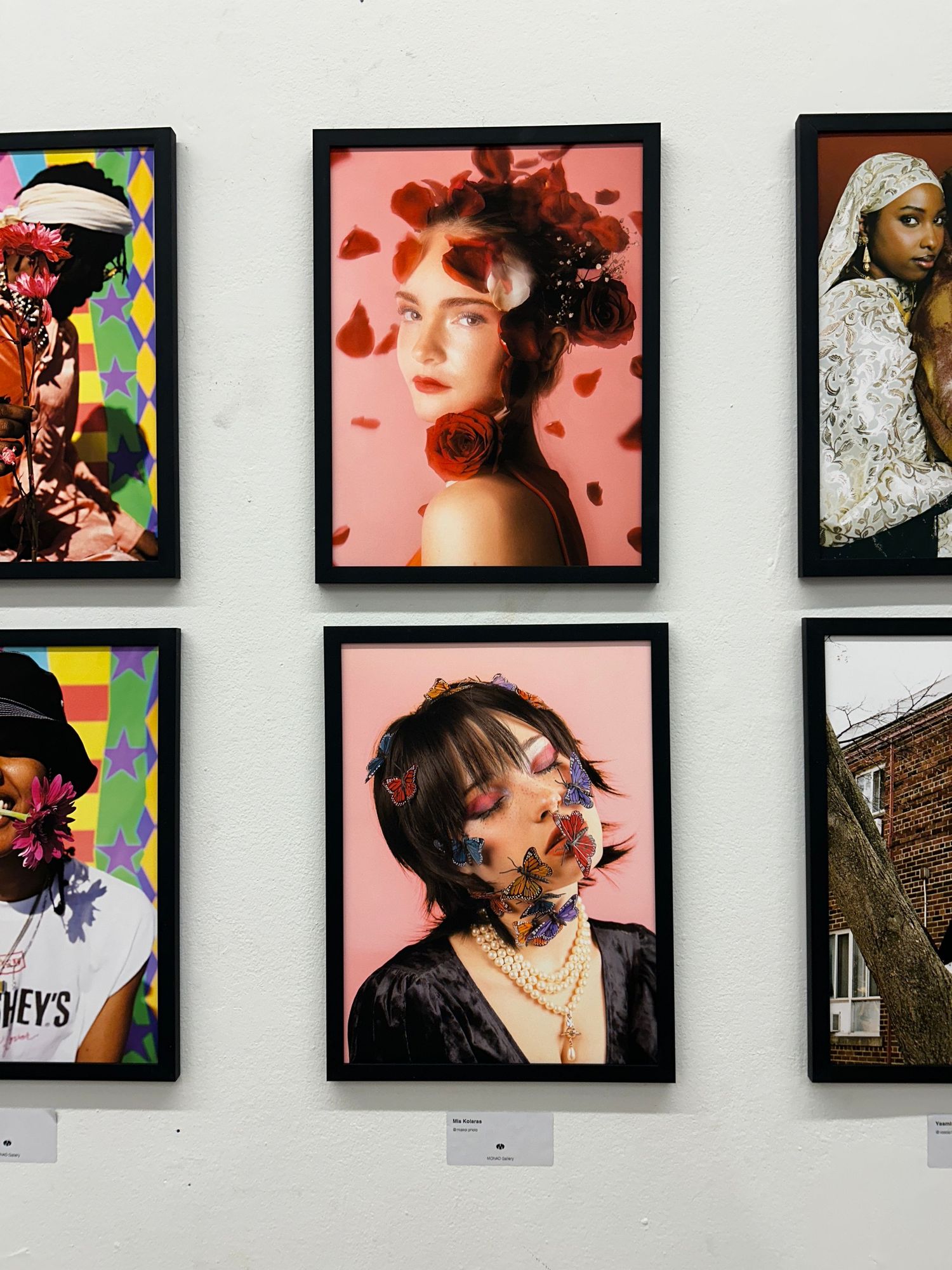 Framed works on a white wall within a black frame