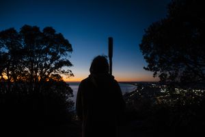 Silhouette of a person standing at dusk overlooking a city skyline with trees and a pole against a twilight sky.