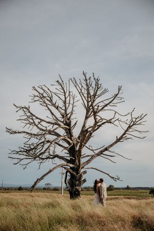 Couple sharing a kiss beneath a bare, leafless tree in an open grassy field under a cloudy sky.