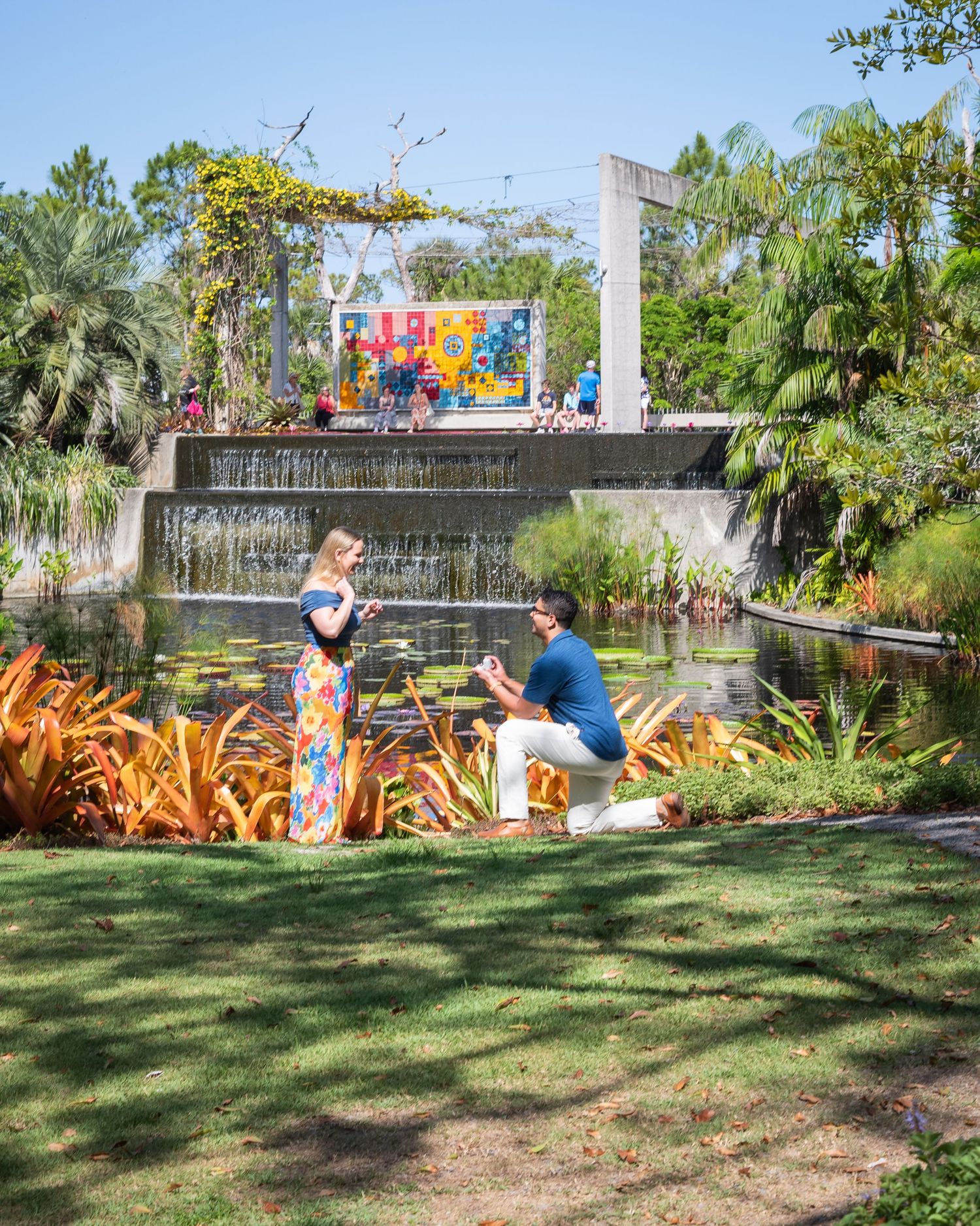 Man proposes to woman on one knee beside a lily pond in a lush tropical botanical garden on a sunny day.