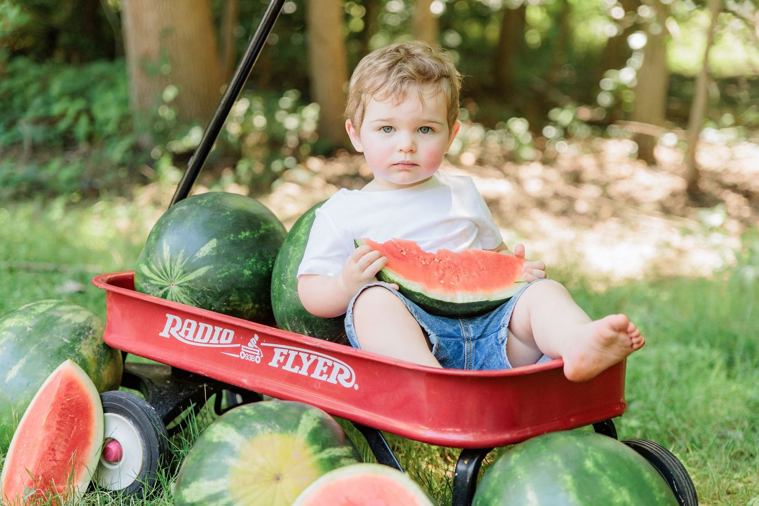 Toddler sitting in a red Radio Flyer wagon surrounded by watermelons, holding a watermelon slice outdoors.