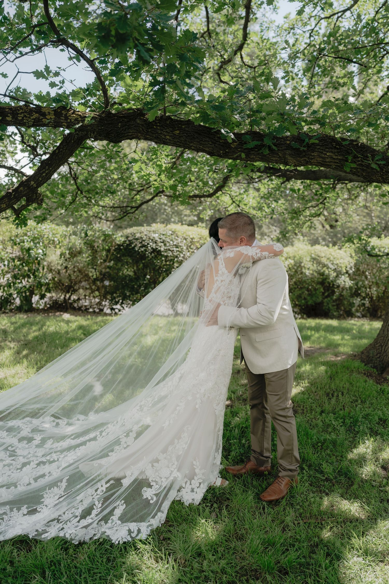 Bride and groom share a romantic kiss under a lush green tree, with a flowing lace cathedral veil trailing on the grass.