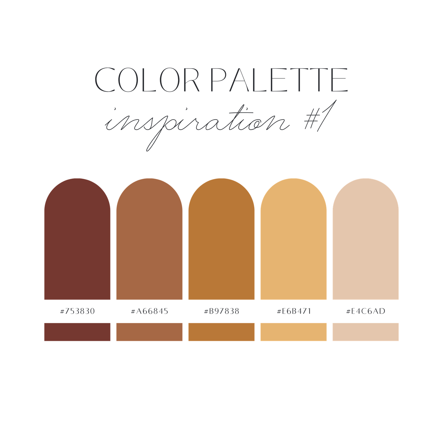 A minimalist color palette featuring warm neutral tones from beige to deep brown.