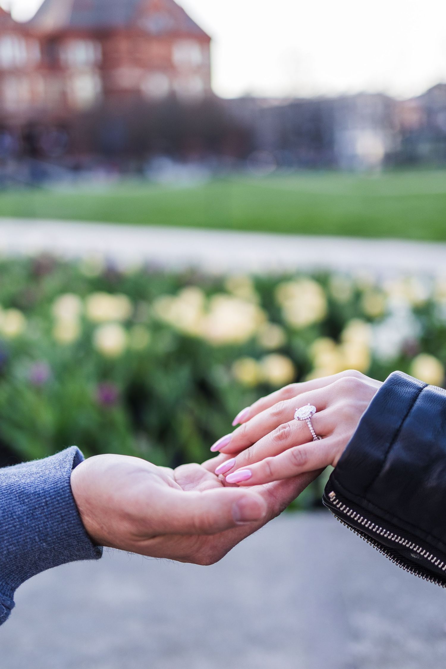 Close-up of hands showing diamond engagement ring in garden with colorful tulips in background.