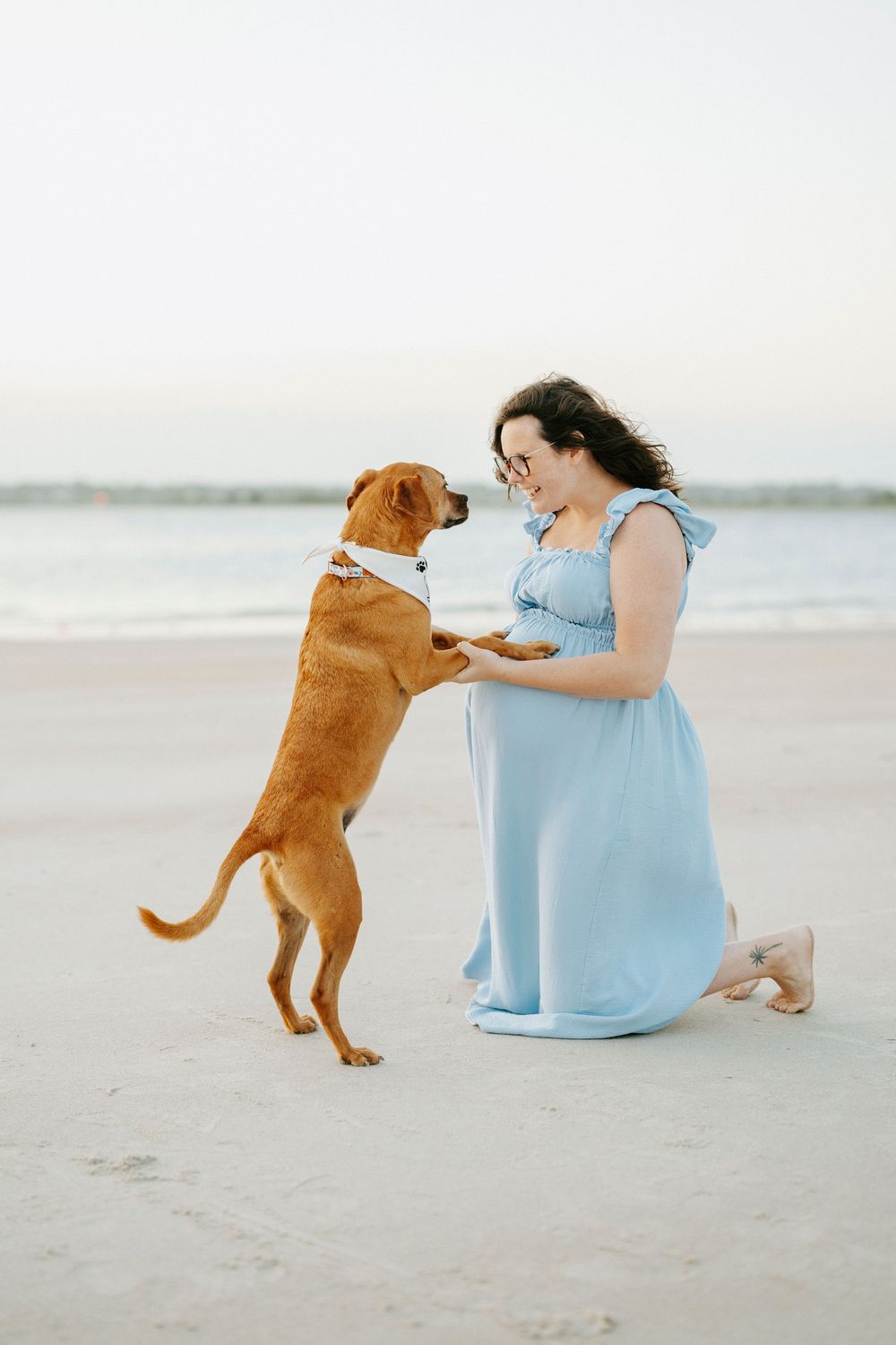 Pregnant woman in light blue dress kneels on beach as brown dog stands on hind legs to greet her.