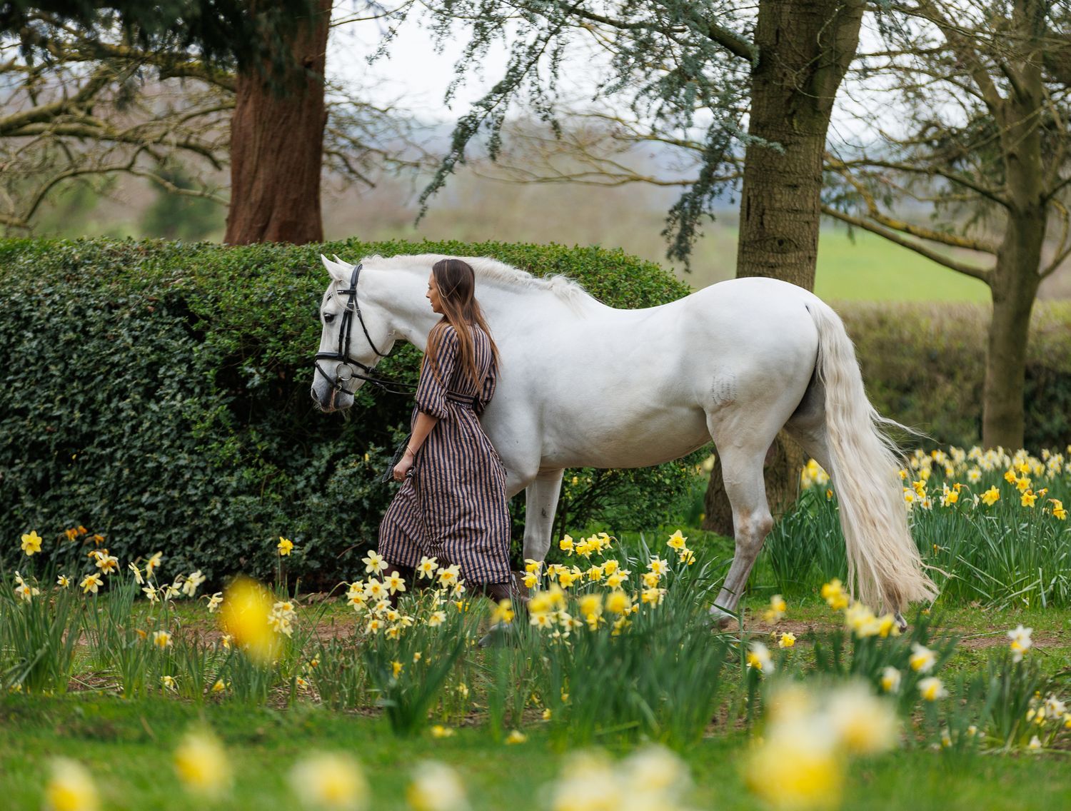 Woman in vintage dress leading a white horse through spring daffodils in a lush green garden.