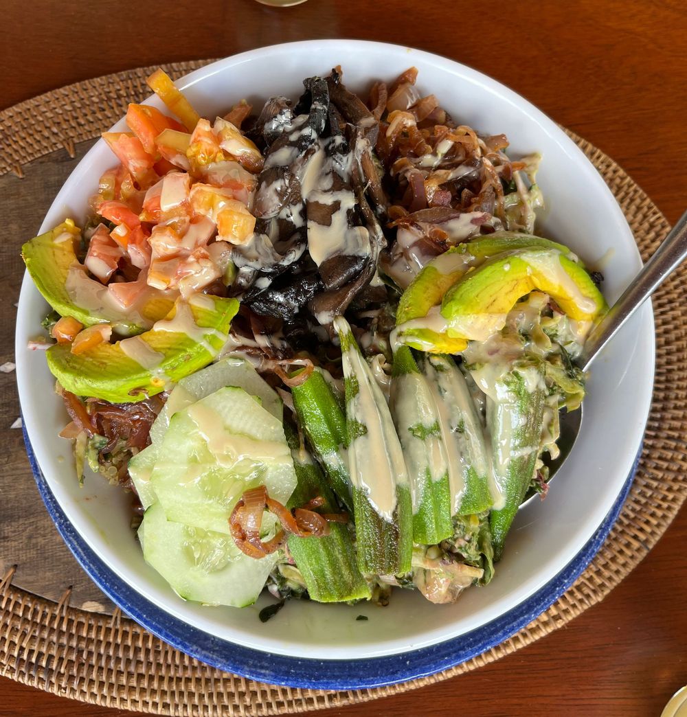 Fresh salad bowl with avocado, cucumber, tomatoes, mushrooms, and greens topped with creamy dressing.