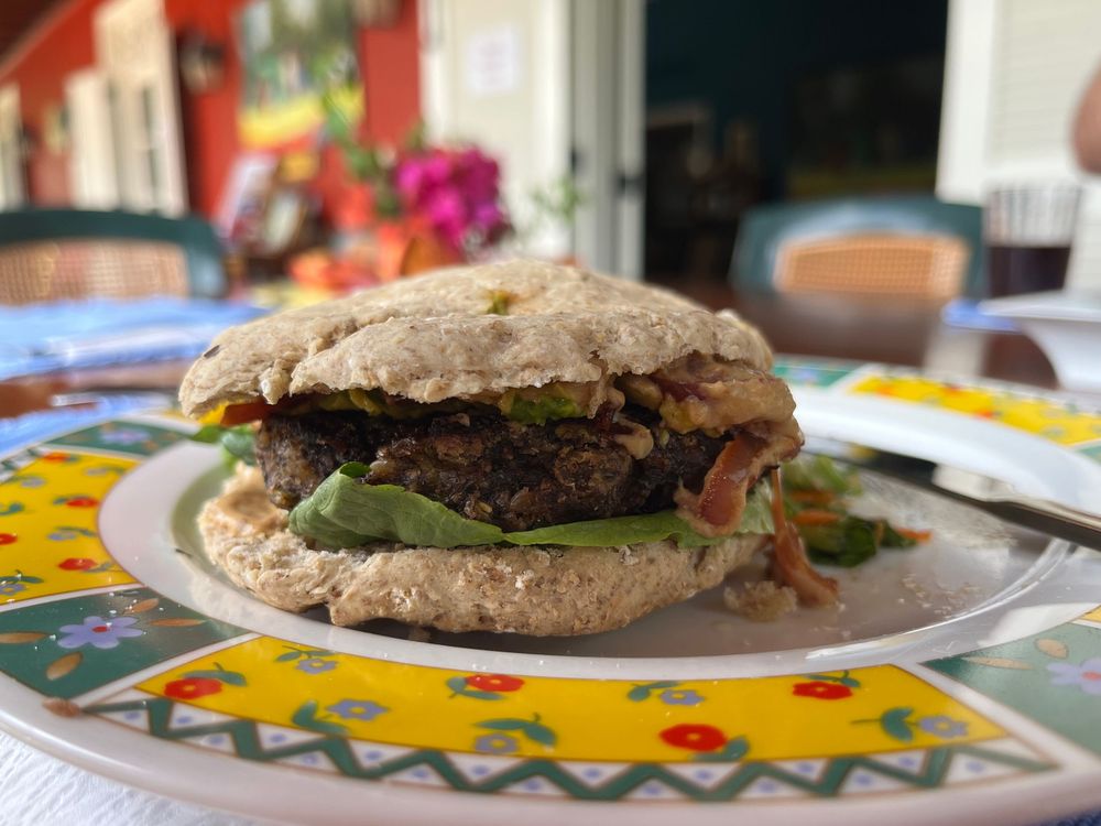 A hearty veggie burger with avocado and toppings on a rustic bun, served on a colorful plate outdoors.