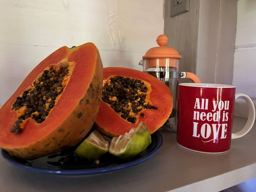 Sliced papaya on a blue plate beside a red "All You Need Is Love" mug and French press on a kitchen counter.