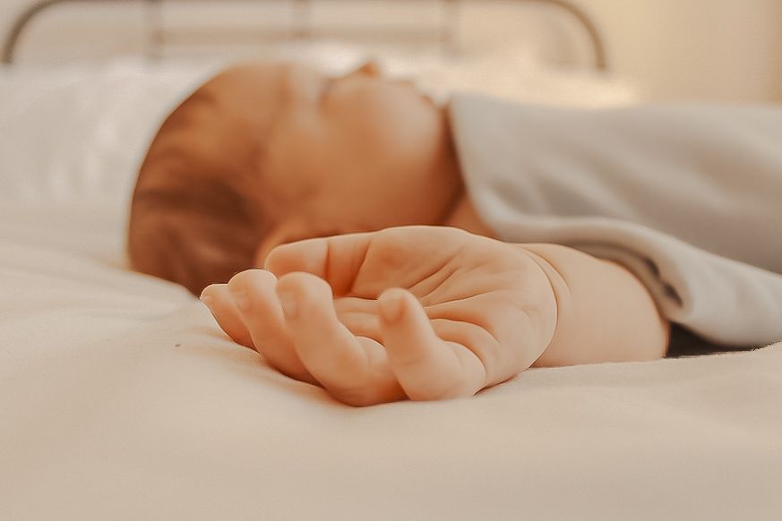 Newborn photo shoot/session