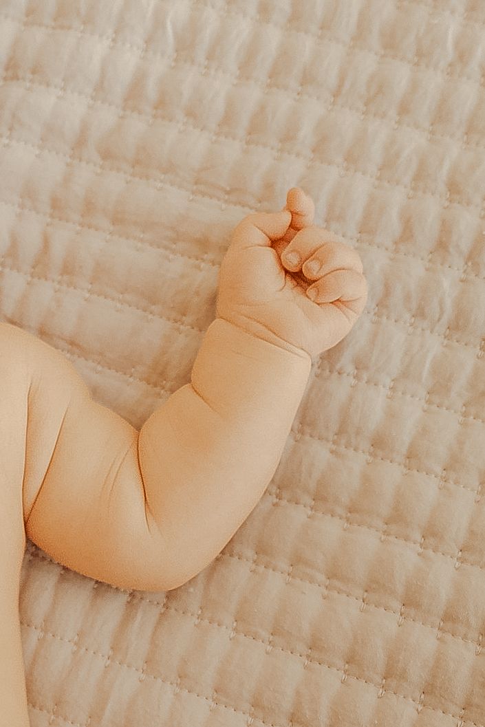 Newborn photo shoot/session