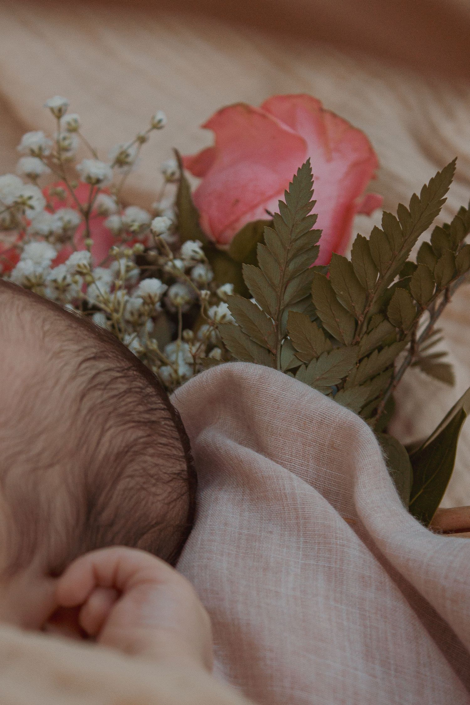 Newborn photo shoot/session