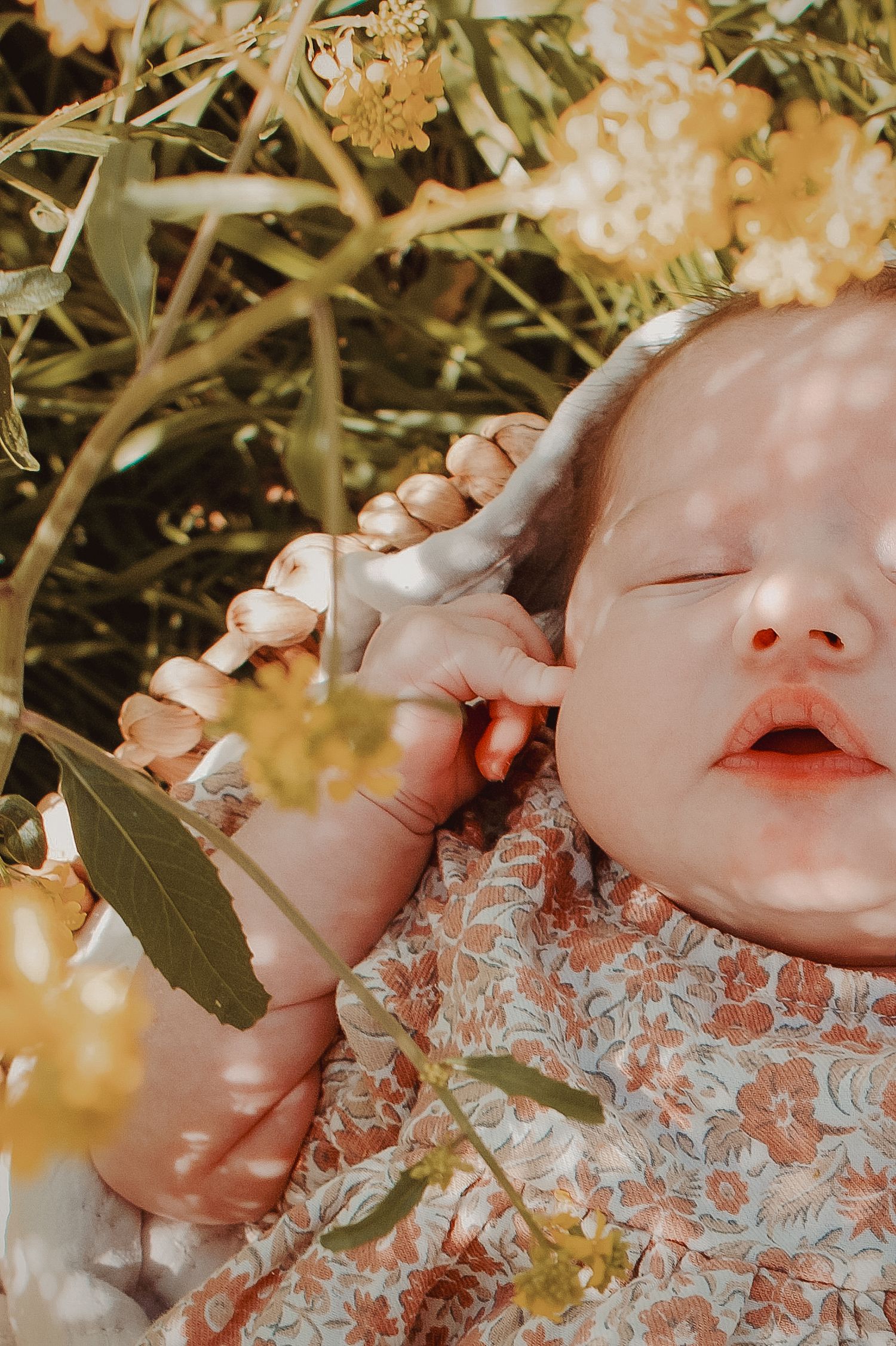 Newborn photo shoot/session