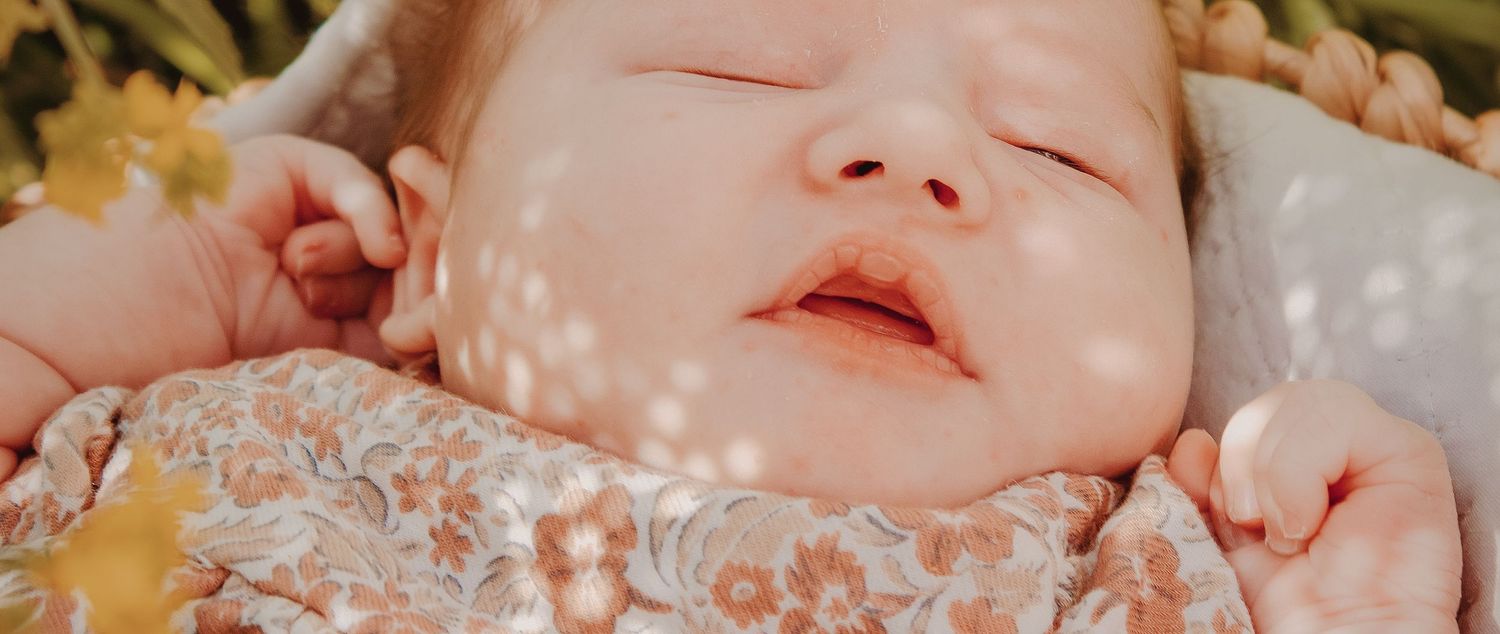 Newborn photo shoot/session