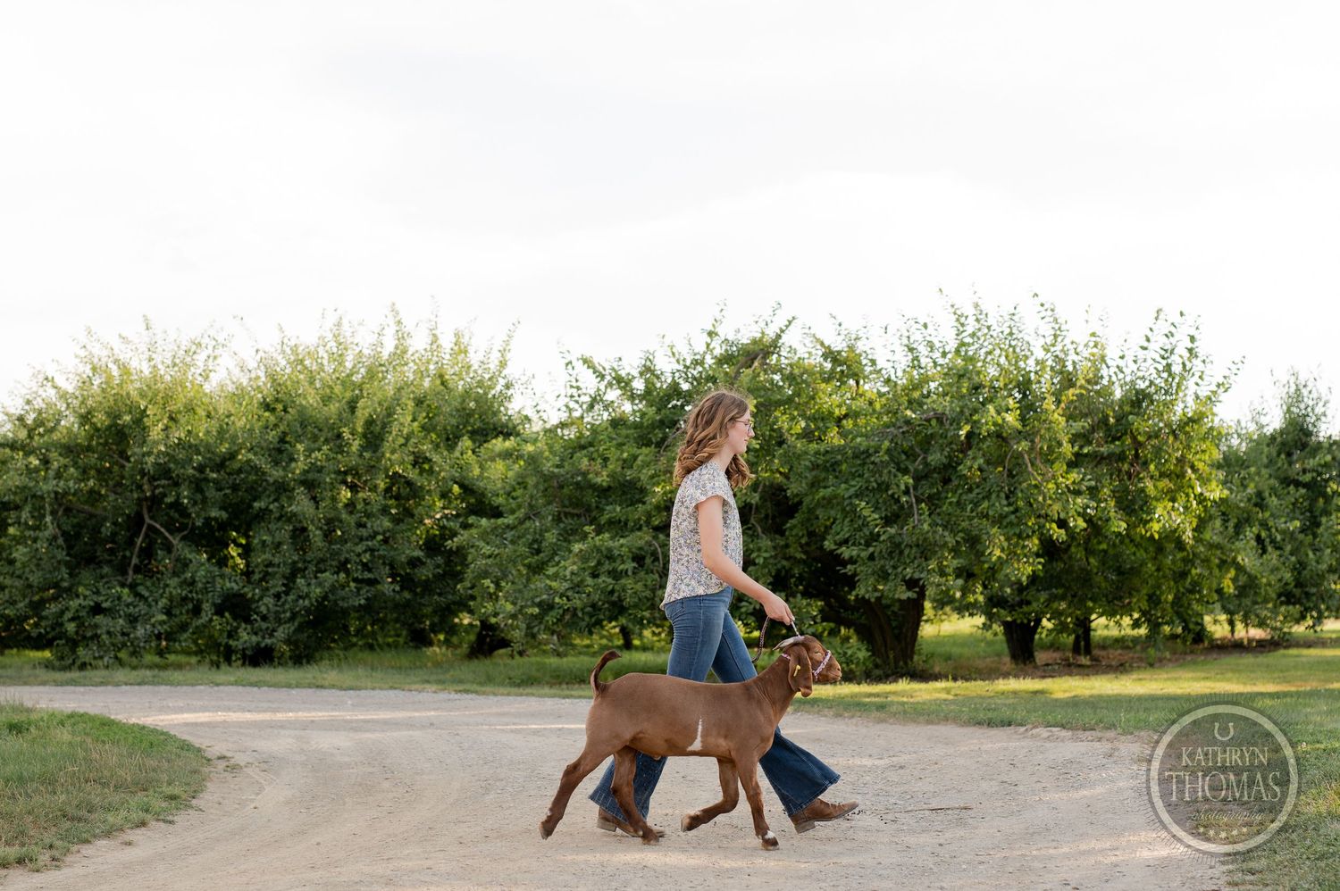 A person walks a brown goat along a winding dirt path with green foliage in the background.