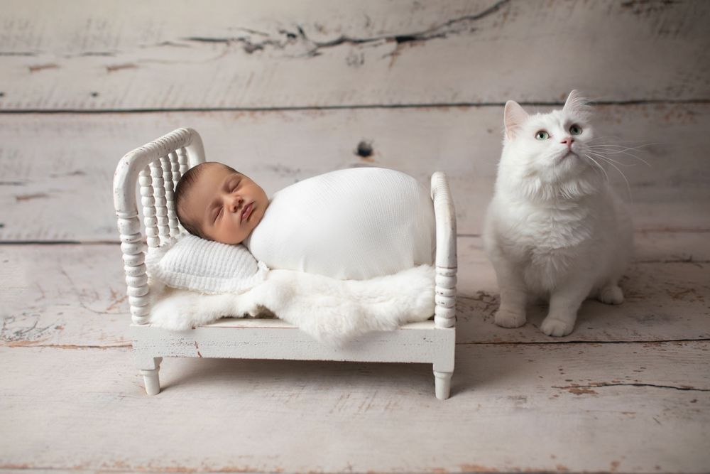 baby photography