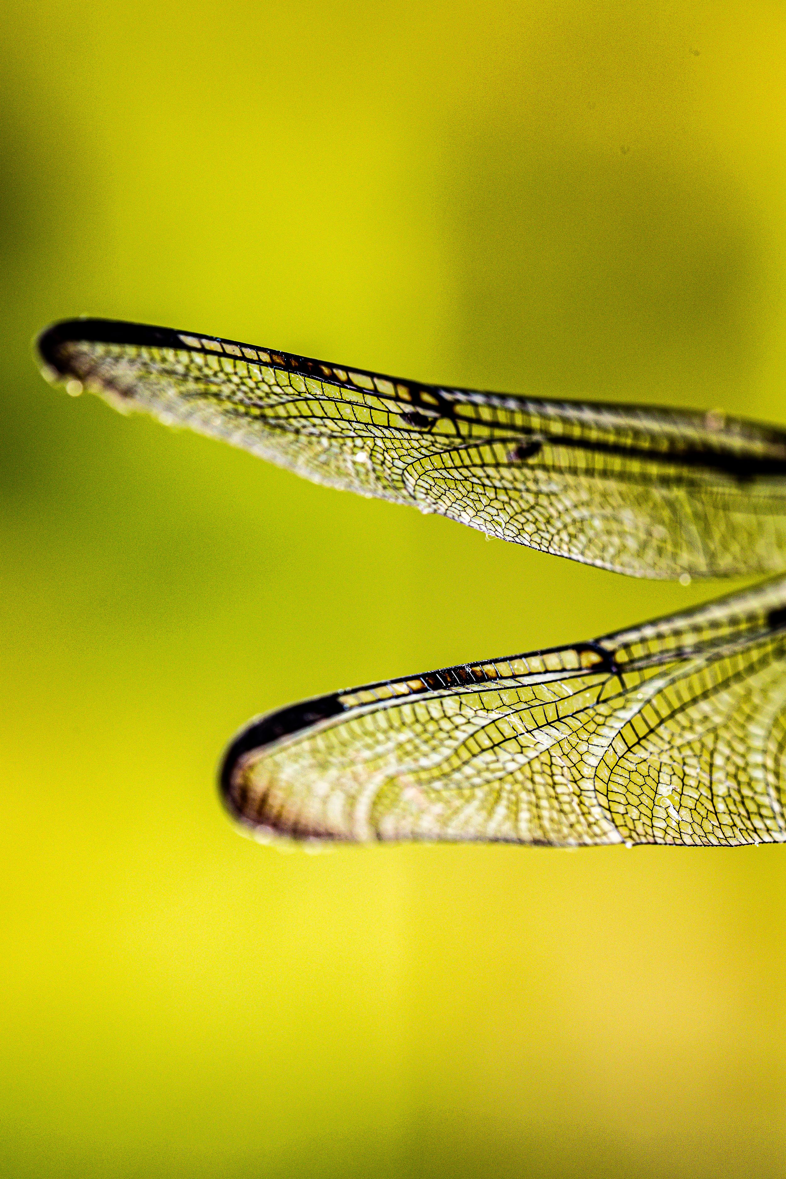 Travel Photographer in Panama City Florida. Nature photos in the Florida Panhandle: Beaches, Bayou, Natural Springs, Skies, Plants, and more