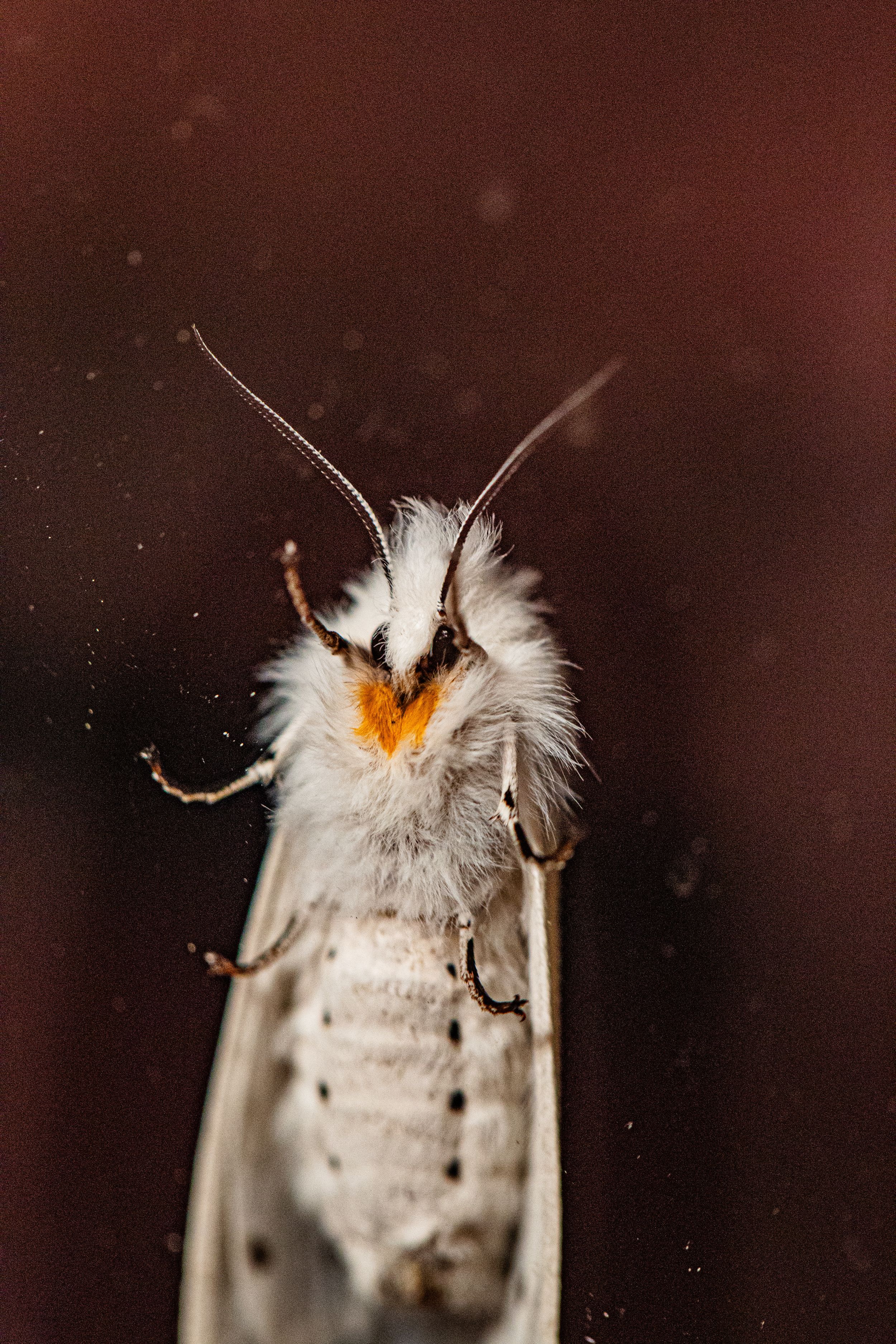 Travel Photographer in Panama City Florida. Nature photos in the Florida Panhandle: Beaches, Bayou, Natural Springs, Skies, Plants, and more