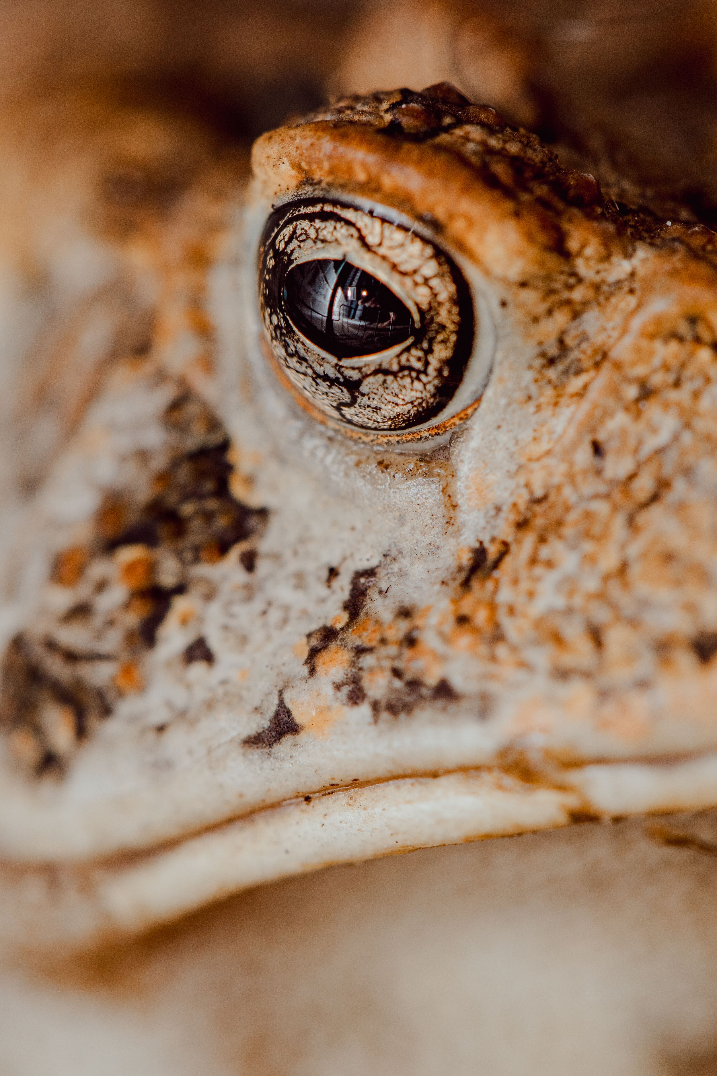 Travel Photographer in Panama City Florida. Nature photos in the Florida Panhandle: Beaches, Bayou, Natural Springs, Skies, Plants, and more