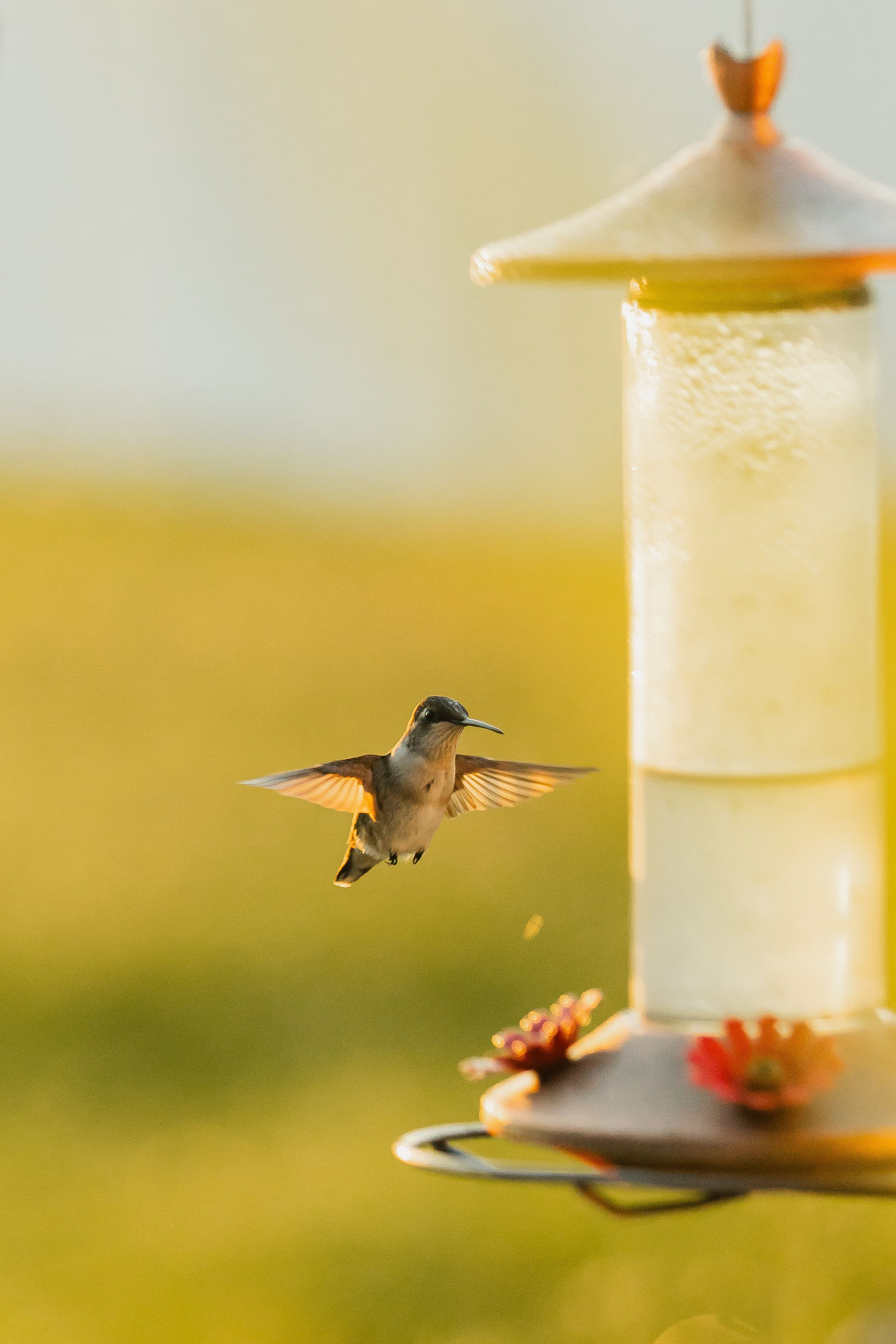Travel Photographer in Panama City Florida. Nature photos in the Florida Panhandle: Beaches, Bayou, Natural Springs, Skies, Plants, and more