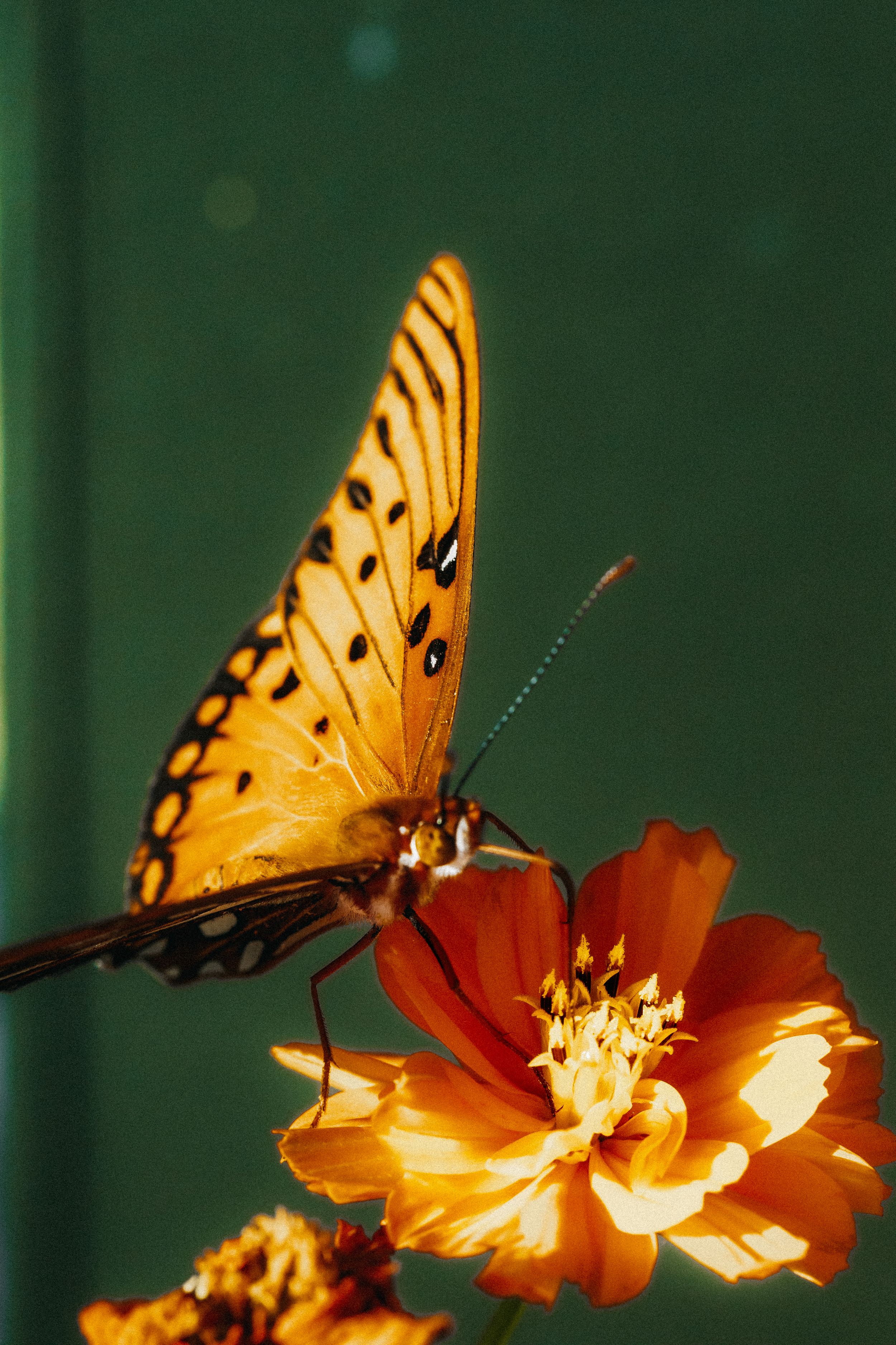 Travel Photographer in Panama City Florida. Nature photos in the Florida Panhandle: Beaches, Bayou, Natural Springs, Skies, Plants, and more