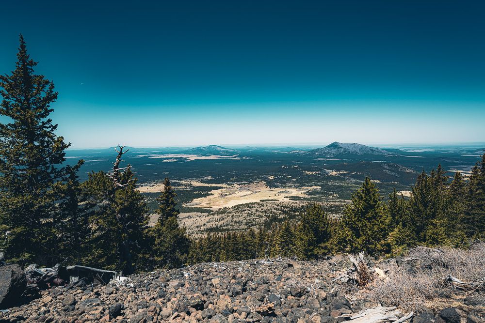 Mountain overlook with evergreen trees framing a vast wilderness landscape.