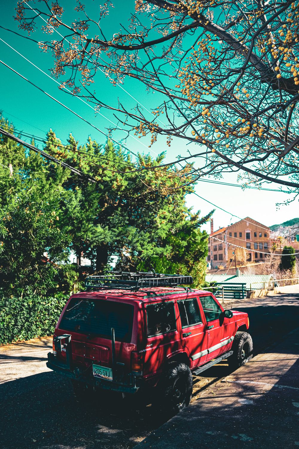 Red SUV parked on street under turquoise sky with blooming spring trees overhead.