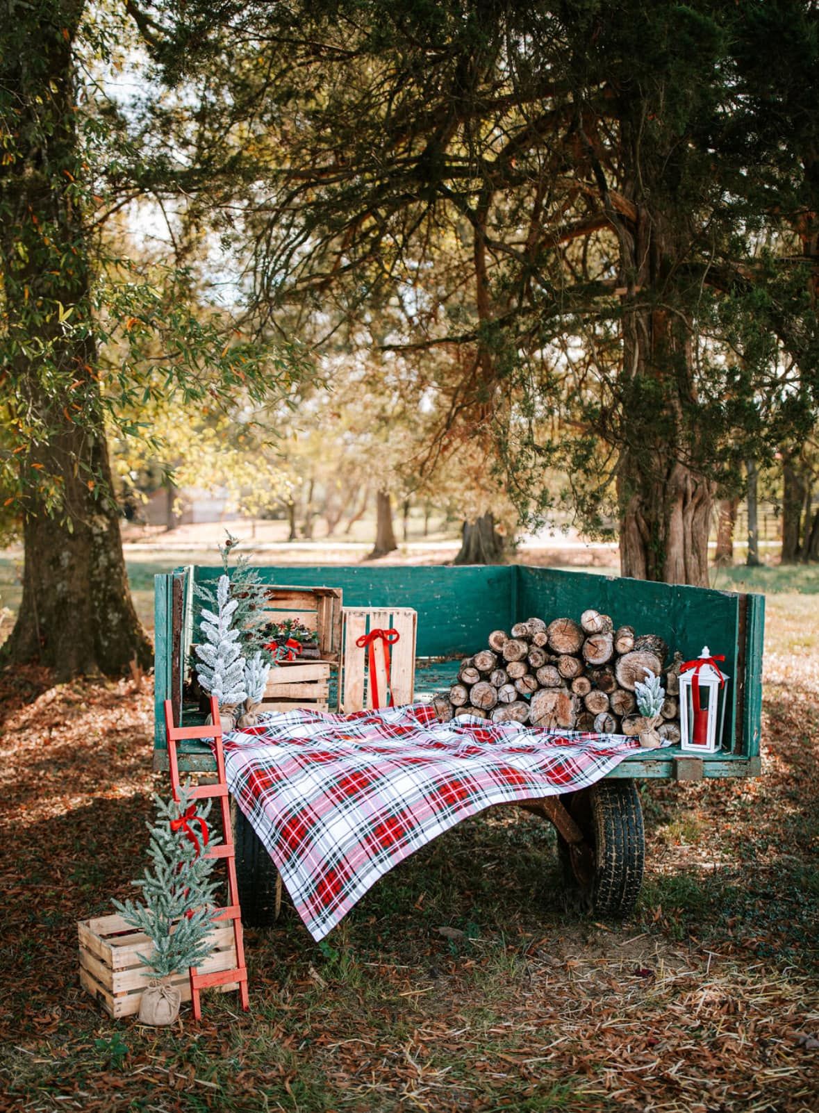 https://marykinzphotography.as.me/wagon