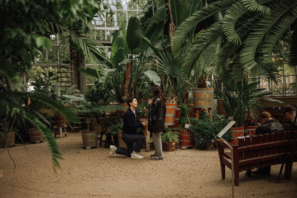 Interior of a lush greenhouse with tropical plants and wooden benches.