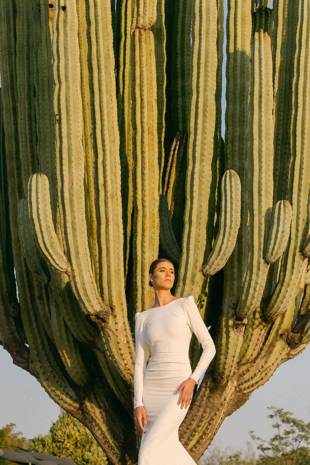 A dramatic fashion photo showing a fitted white dress against the textured backdrop of a massive saguaro cactus.