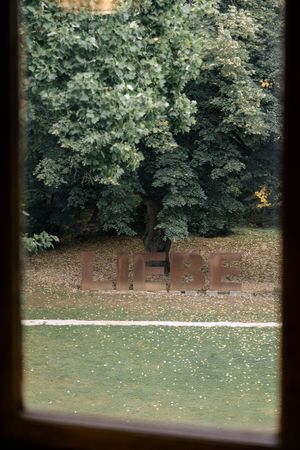 View through a window looking out at a serene park landscape with green trees and a grassy lawn on a tranquil day.