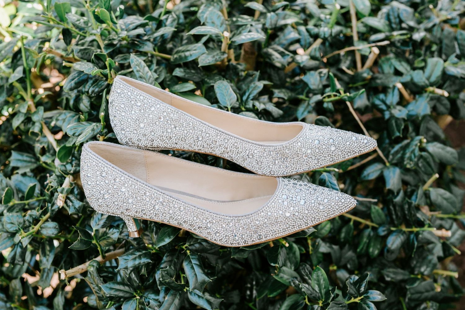 A side view of a sparkling silver pointed-toe kitten heel pump placed against a green leafy background.