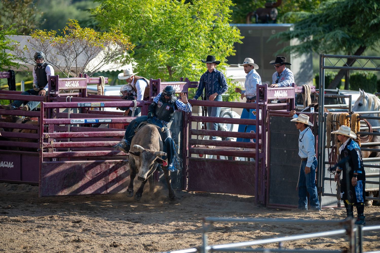 People gathering near wooden bleacher seating at an equestrian event or arena on a sunny day.