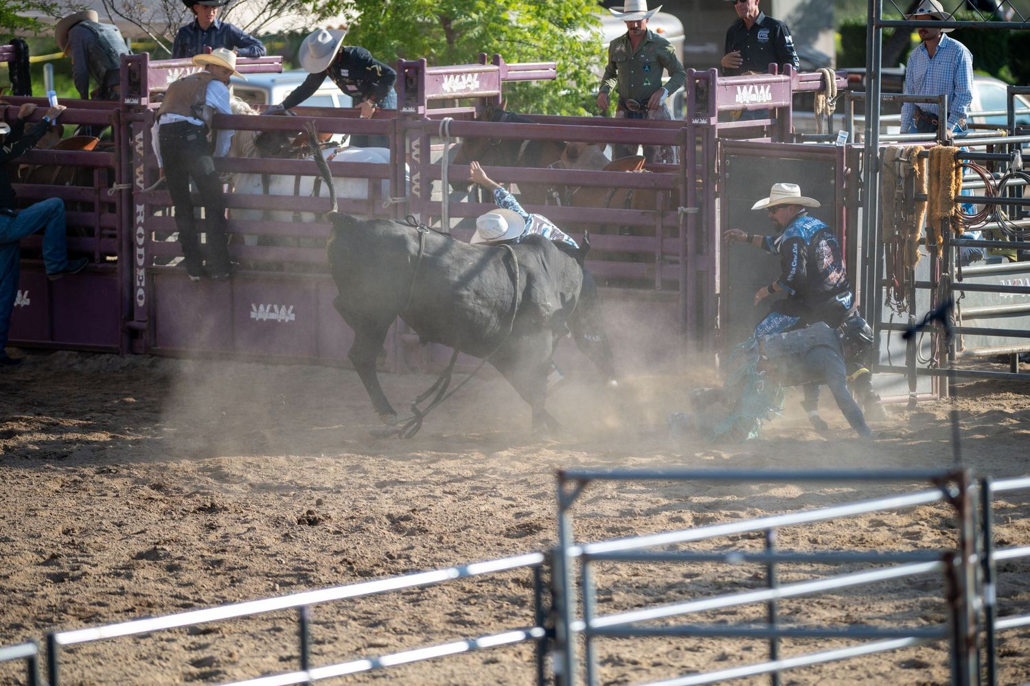A cowboy rides bareback on a bucking bronco during a dusty rodeo competition event.