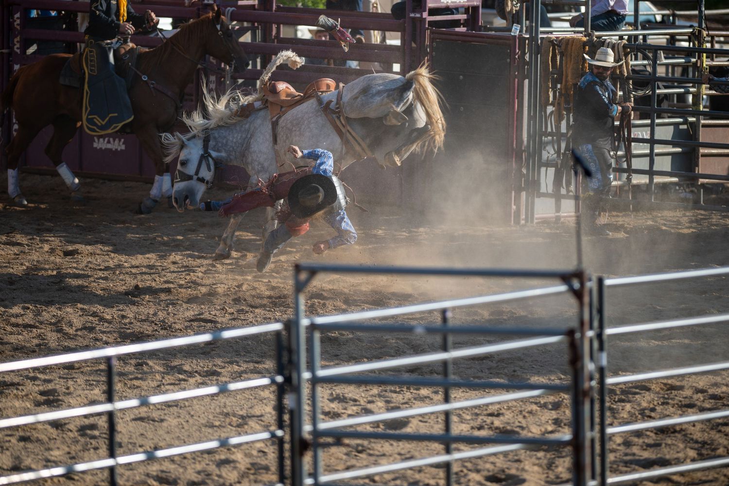 A cowboy attempts to stay mounted on a bucking horse during a rodeo competition in a dusty arena.