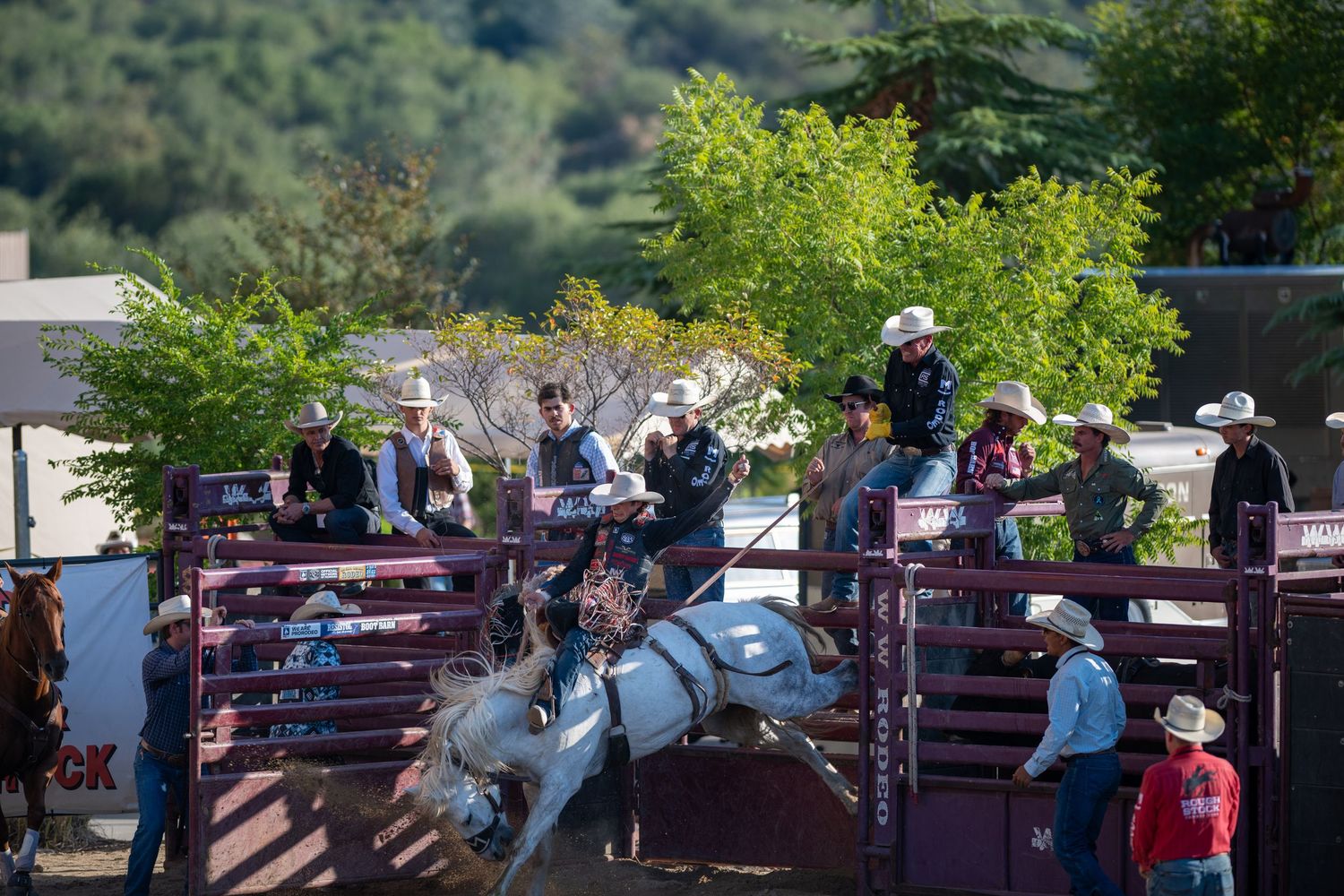 People gather at a scenic overlook with wooden railings surrounded by green trees and mountains in the background.