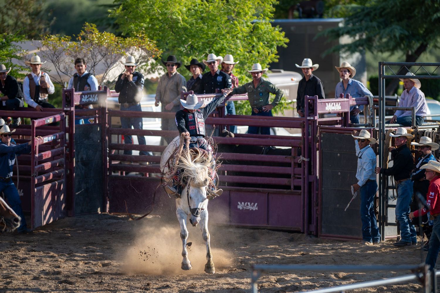 Bull rider holds on tight as bull bucks during intense rodeo competition while spectators watch from grandstand area.