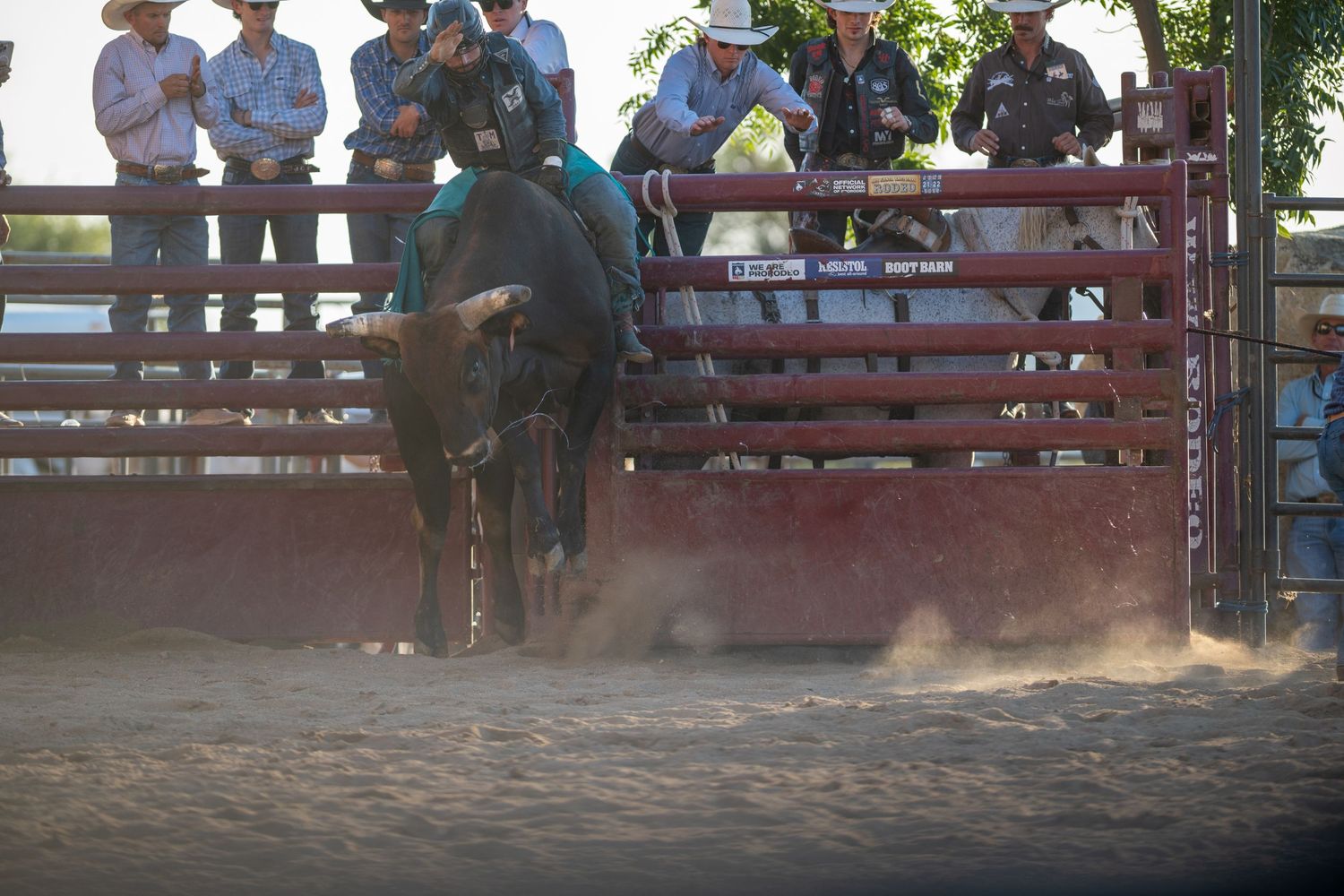Spectators watch from wooden bleachers at a rodeo or equestrian event on a sunny day.