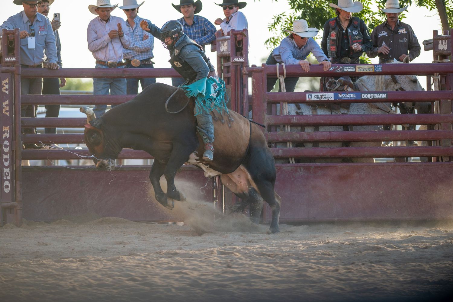 Rodeo competitor rides a bucking horse in dusty arena as spectators watch from behind red metal fencing.