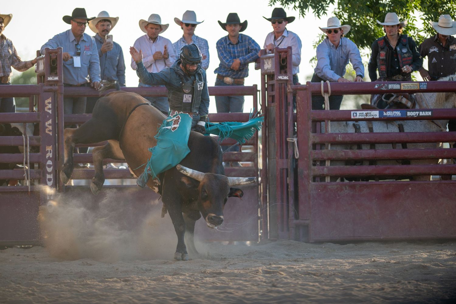 A group of cowboys watch a rider attempt to stay on a bucking bronco at a western rodeo in an outdoor arena.