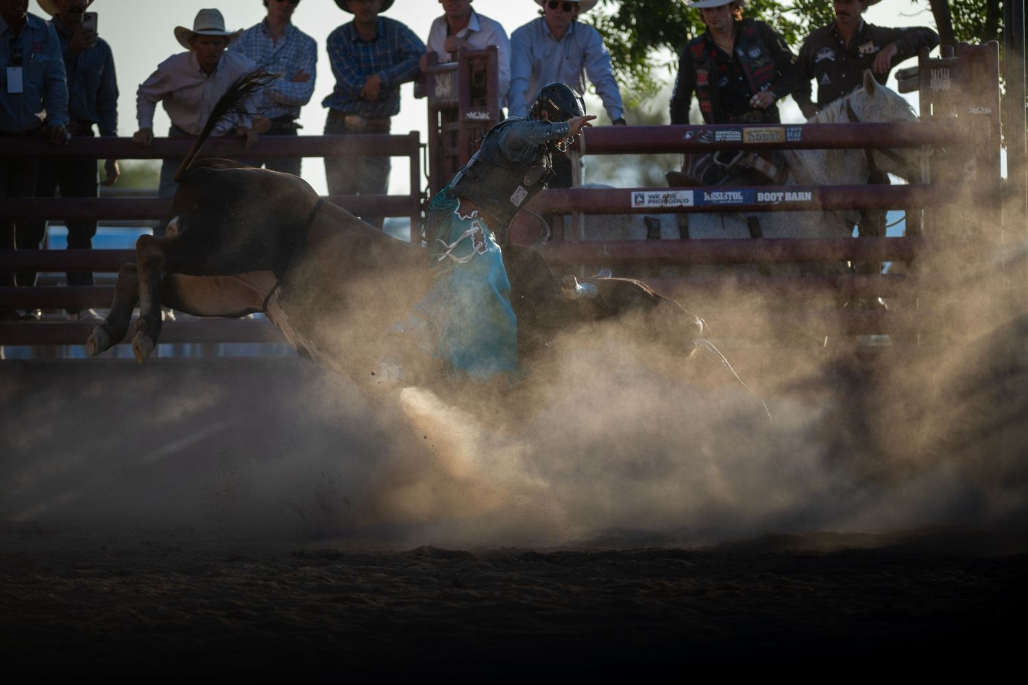Multiple cowboys watch from behind arena fencing at a dusty rodeo event during sunset.