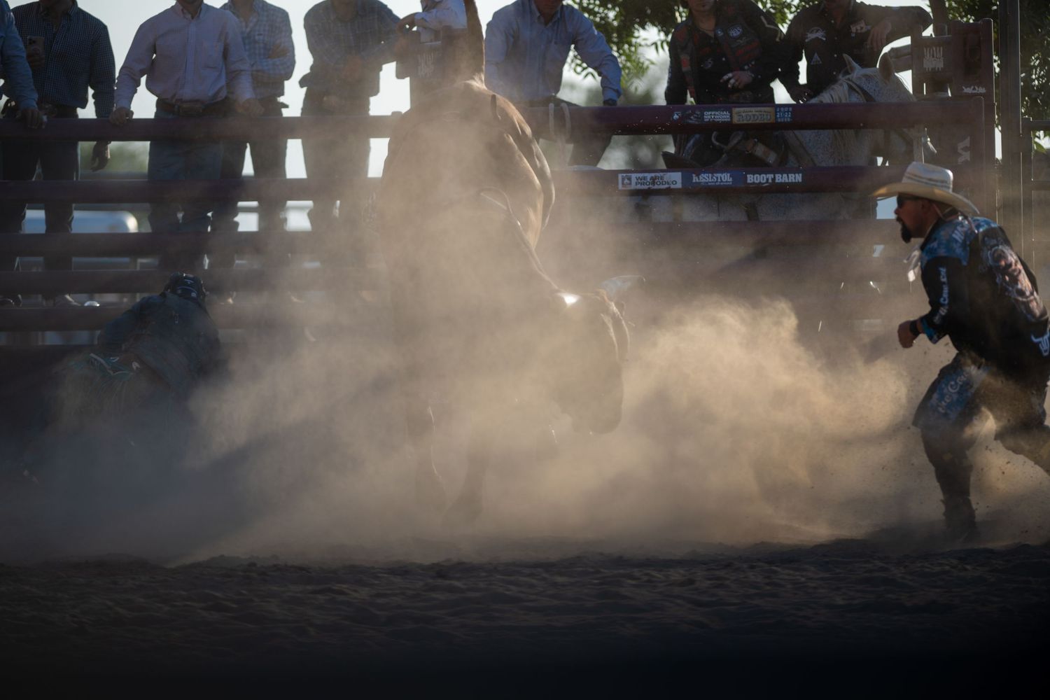 Dusty rodeo scene shows action sequence of cowboy against evening sky with arena barriers.