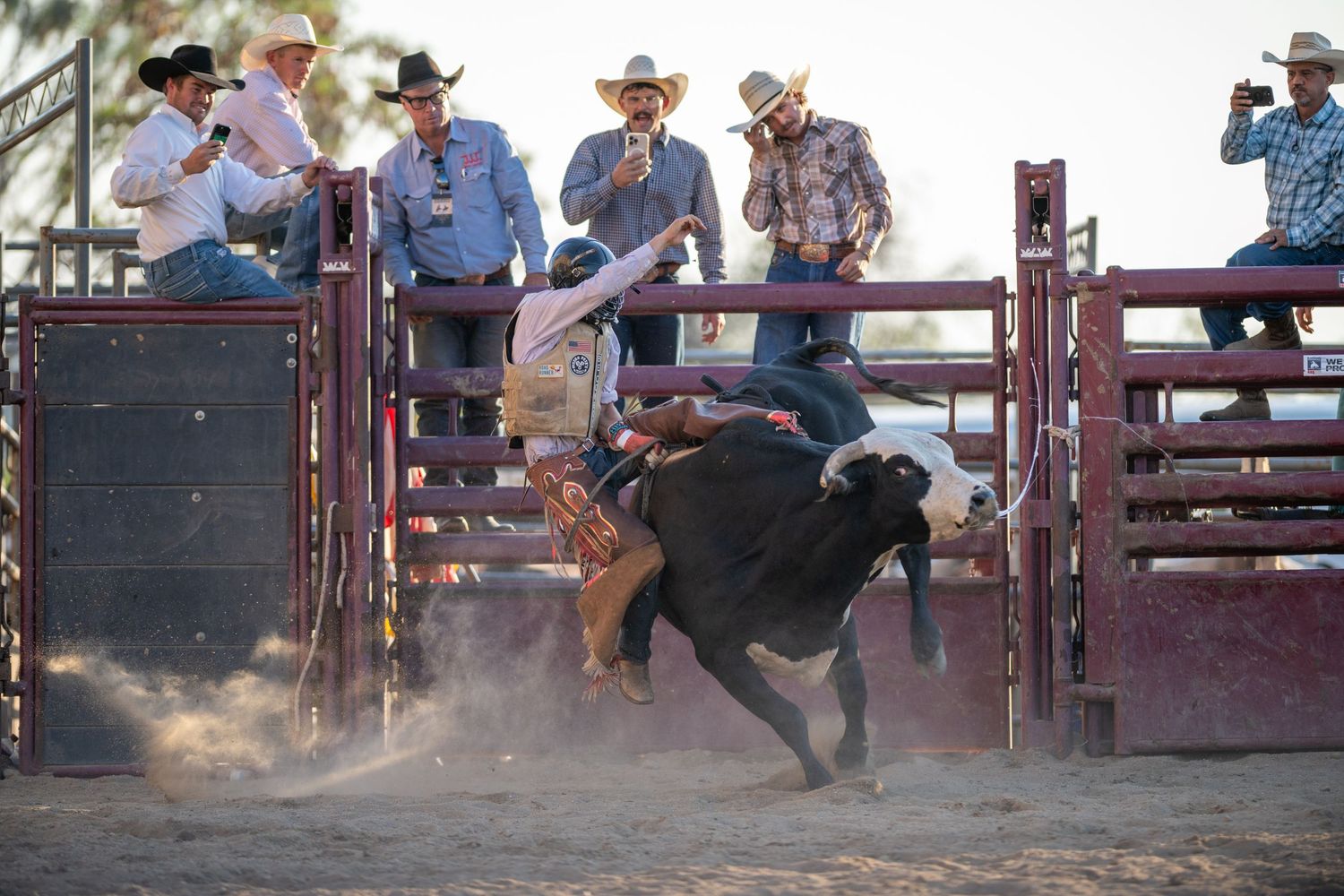 Action sequence of a rodeo bull rider being thrown from a bucking bull during a western competition event.