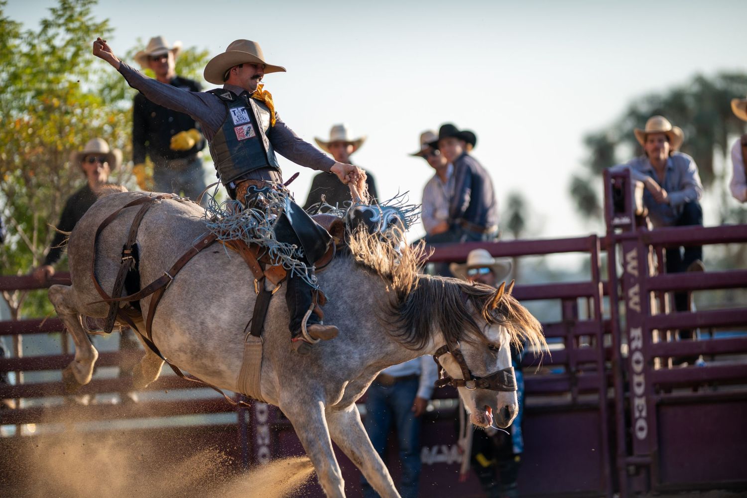 Rodeo rider holds on tight during a thrilling bronc riding competition at a western arena.
