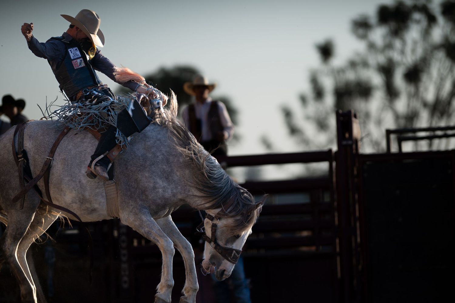 A dramatic rodeo scene shows a bull rider in action during a nighttime competition with dust flying in the arena.