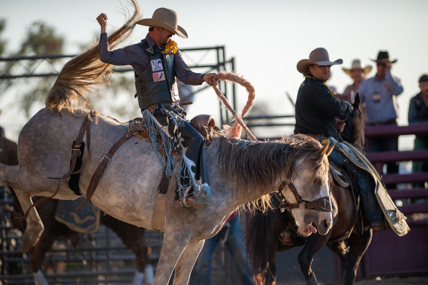 Rodeo riders demonstrate bronc riding skills at a western competition as horses buck wildly in the arena.